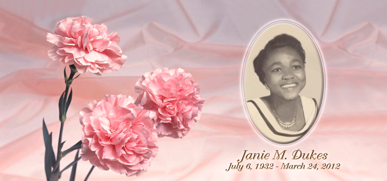 Pink Carnations (Janie M Dukes) PROOF